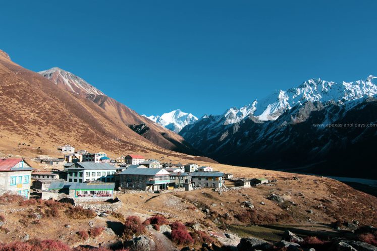 Langtang Valley