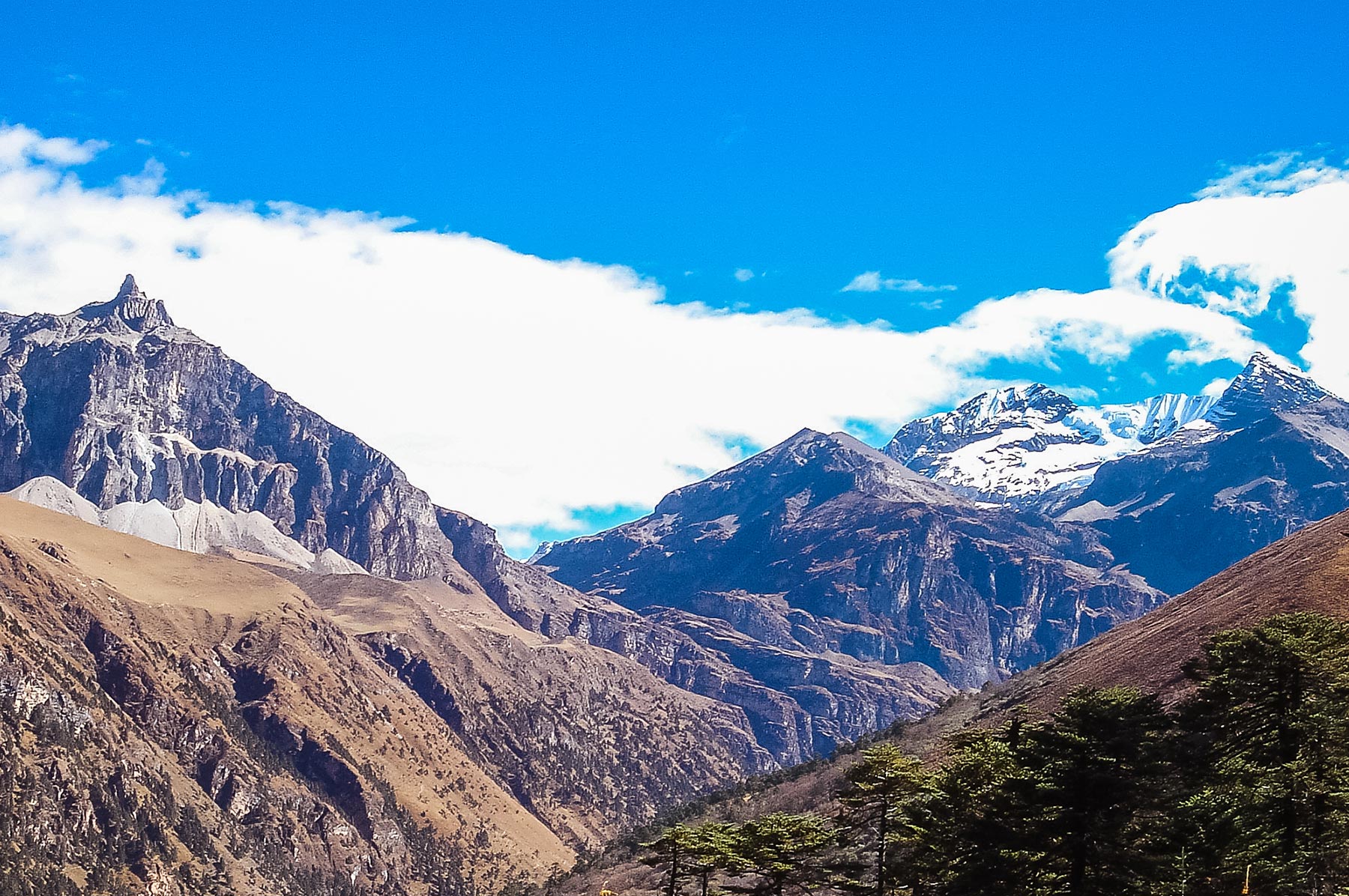 Chomolhari Trek