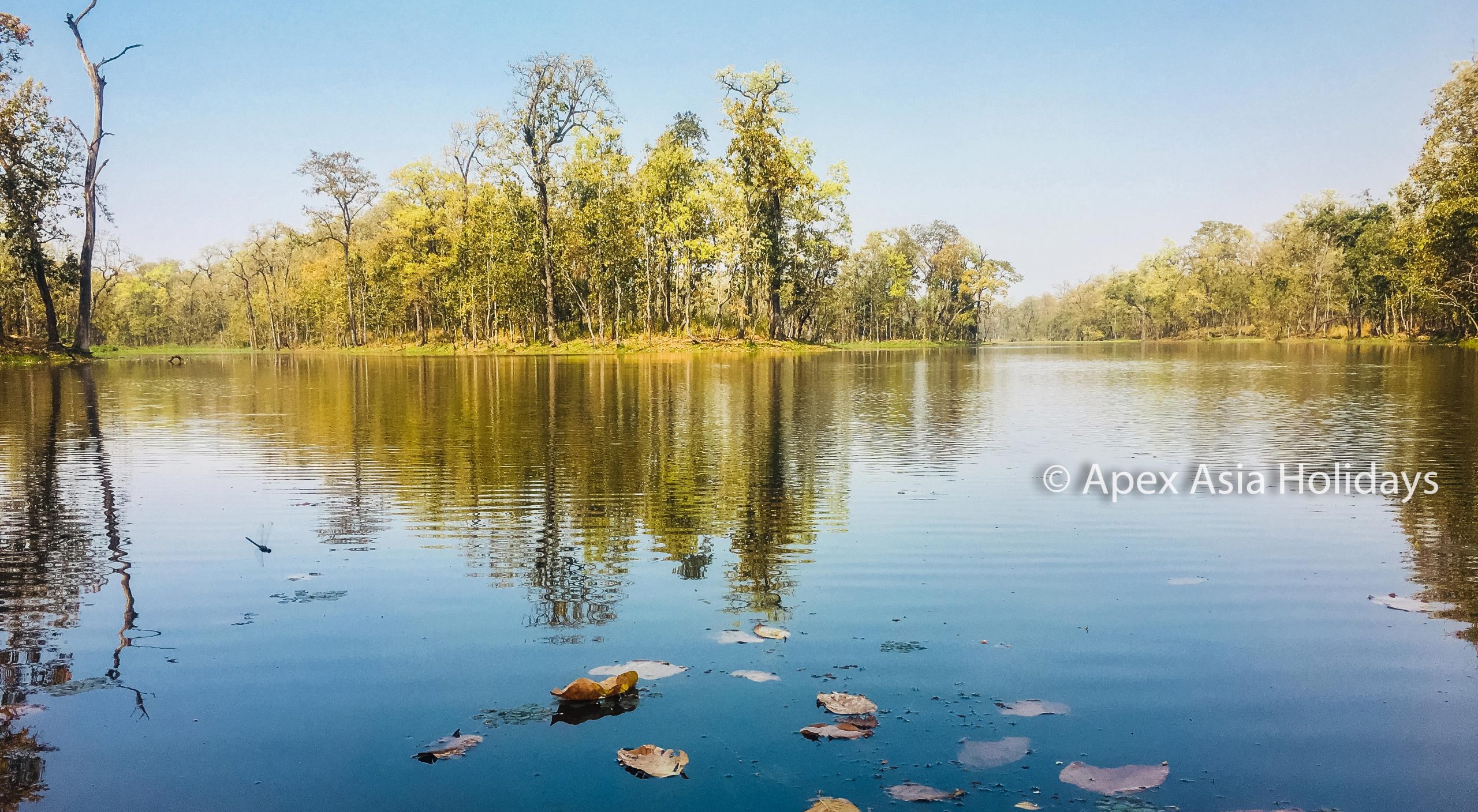 Chitwan National Park Tour