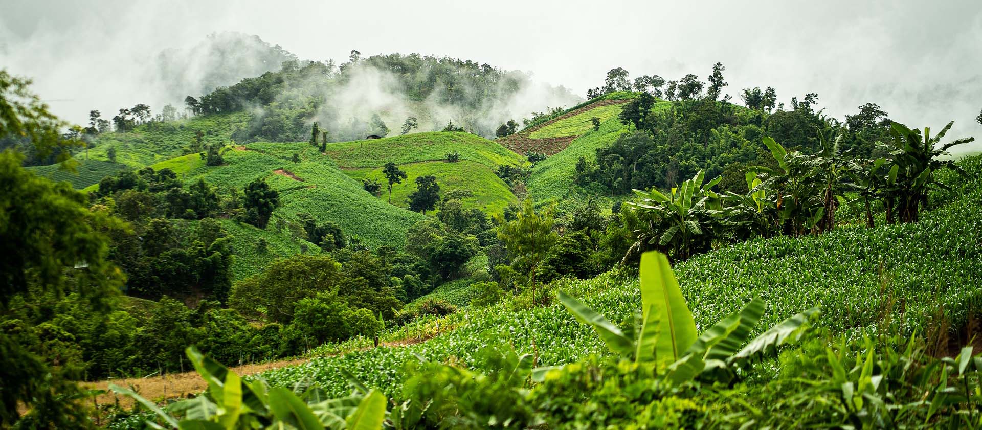 How to Reduce Co2 emission while Traveling in Nepal?