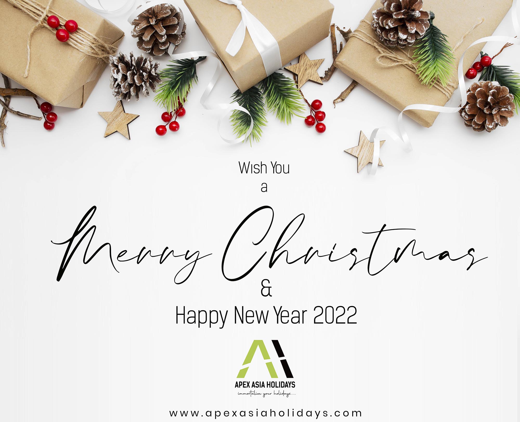 Apex Energy Sutions 2022 Holiday Christmas Csr - Responsible Tourism