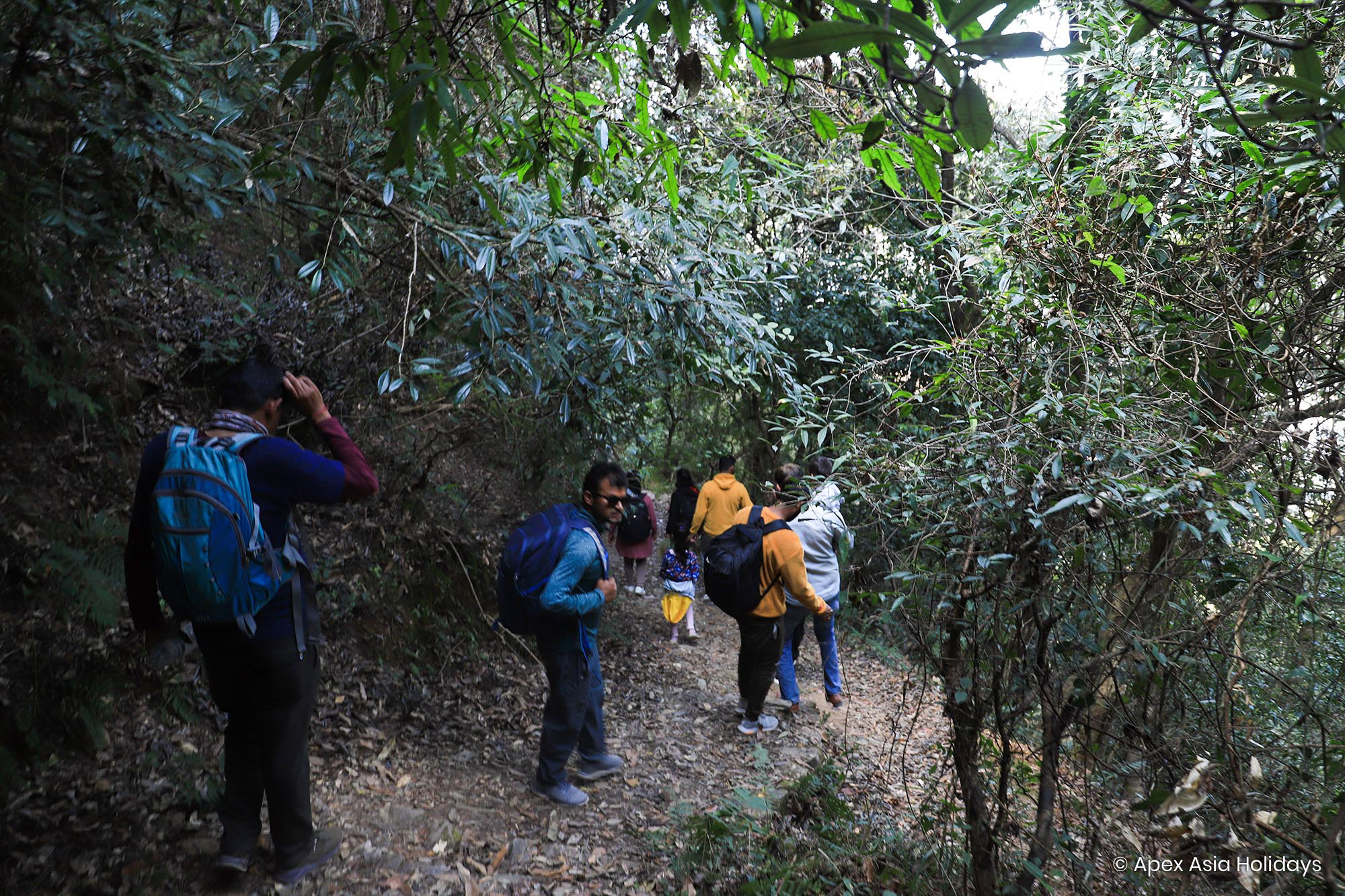 Hiker in the Terkking