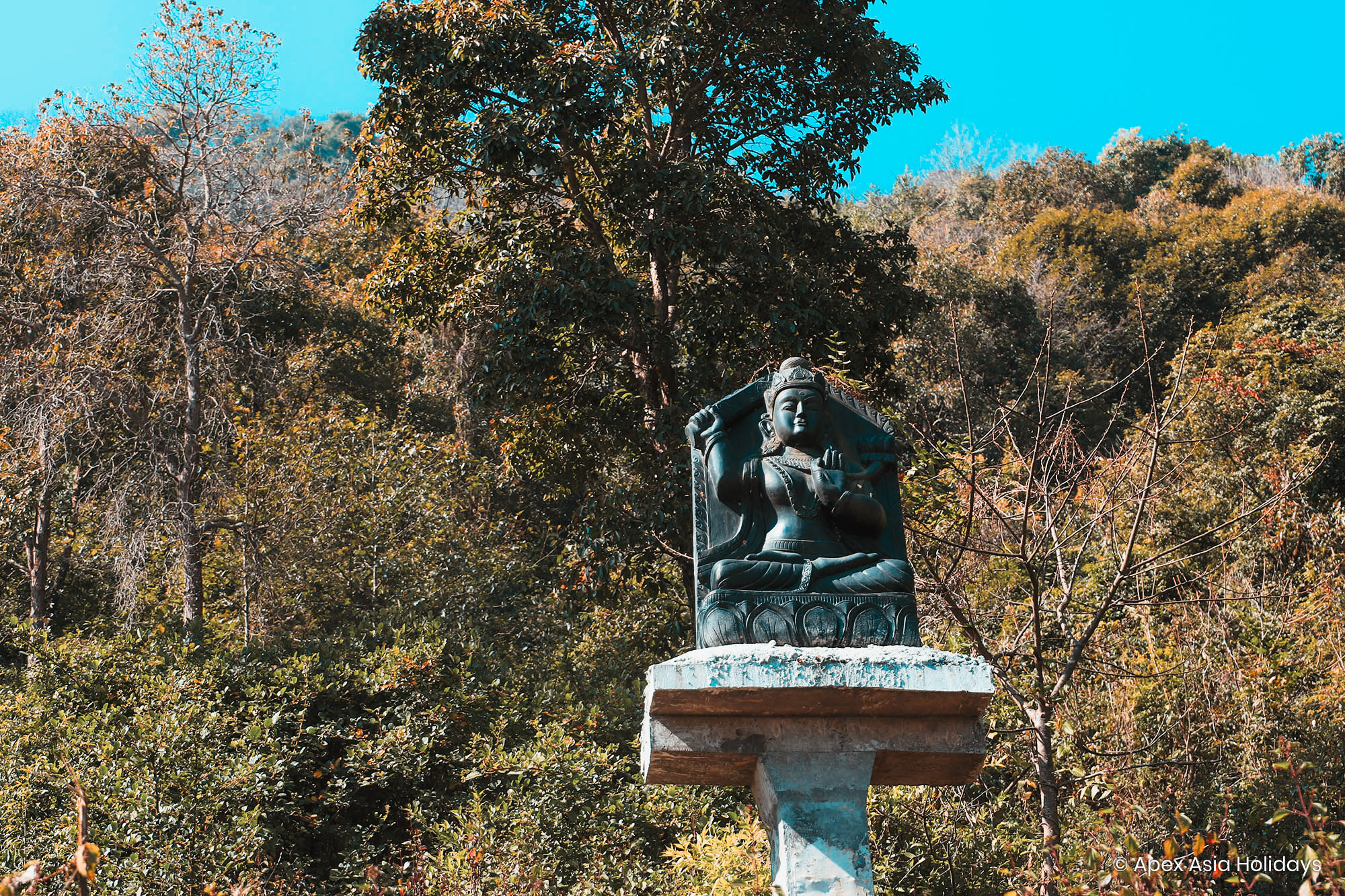 Statue of the Buddha