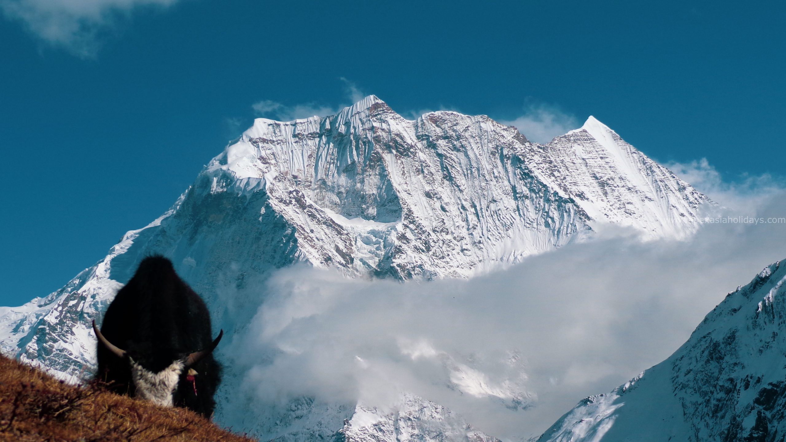Why Trek to Manaslu Circuit?